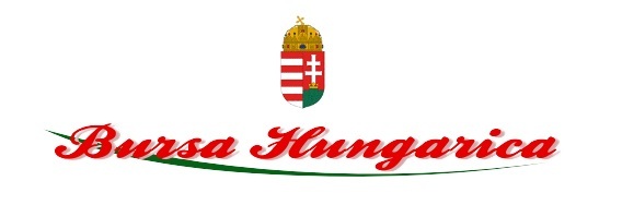 bursa logo