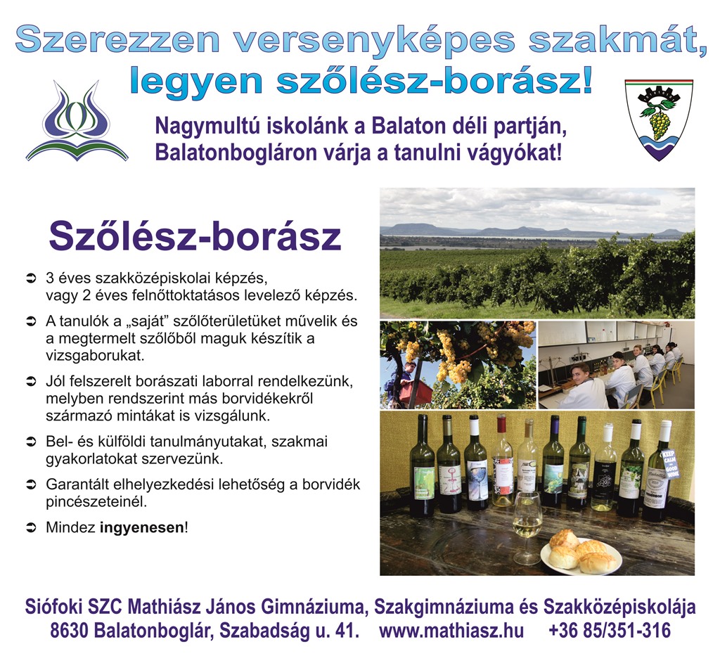 szolesz borasz 2018