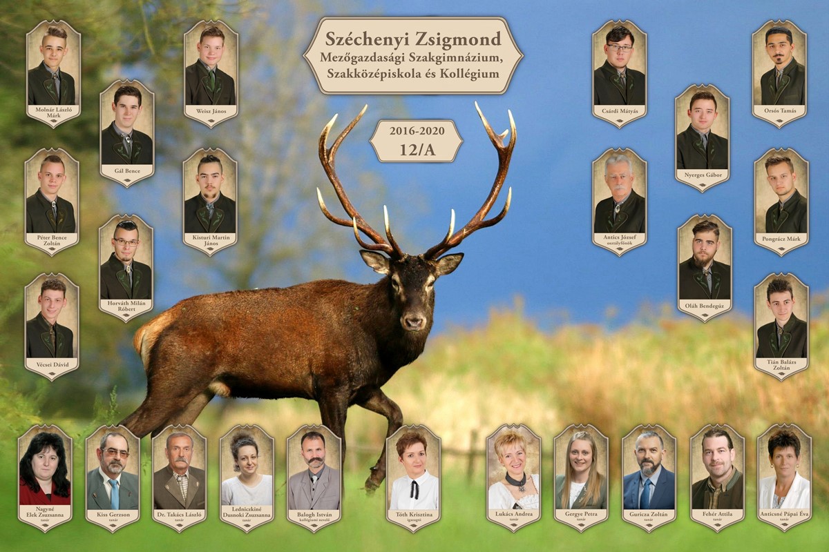 Szőcsény 12. A