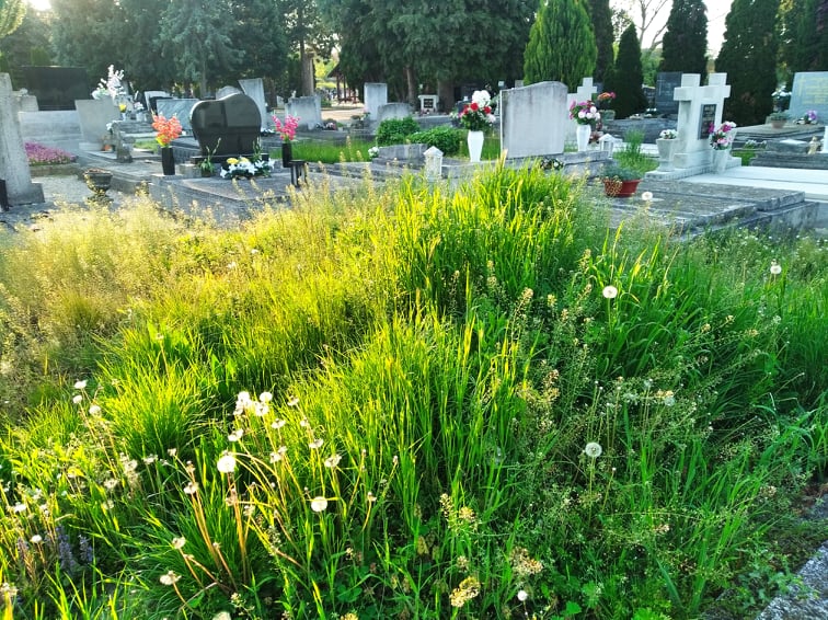 temető7