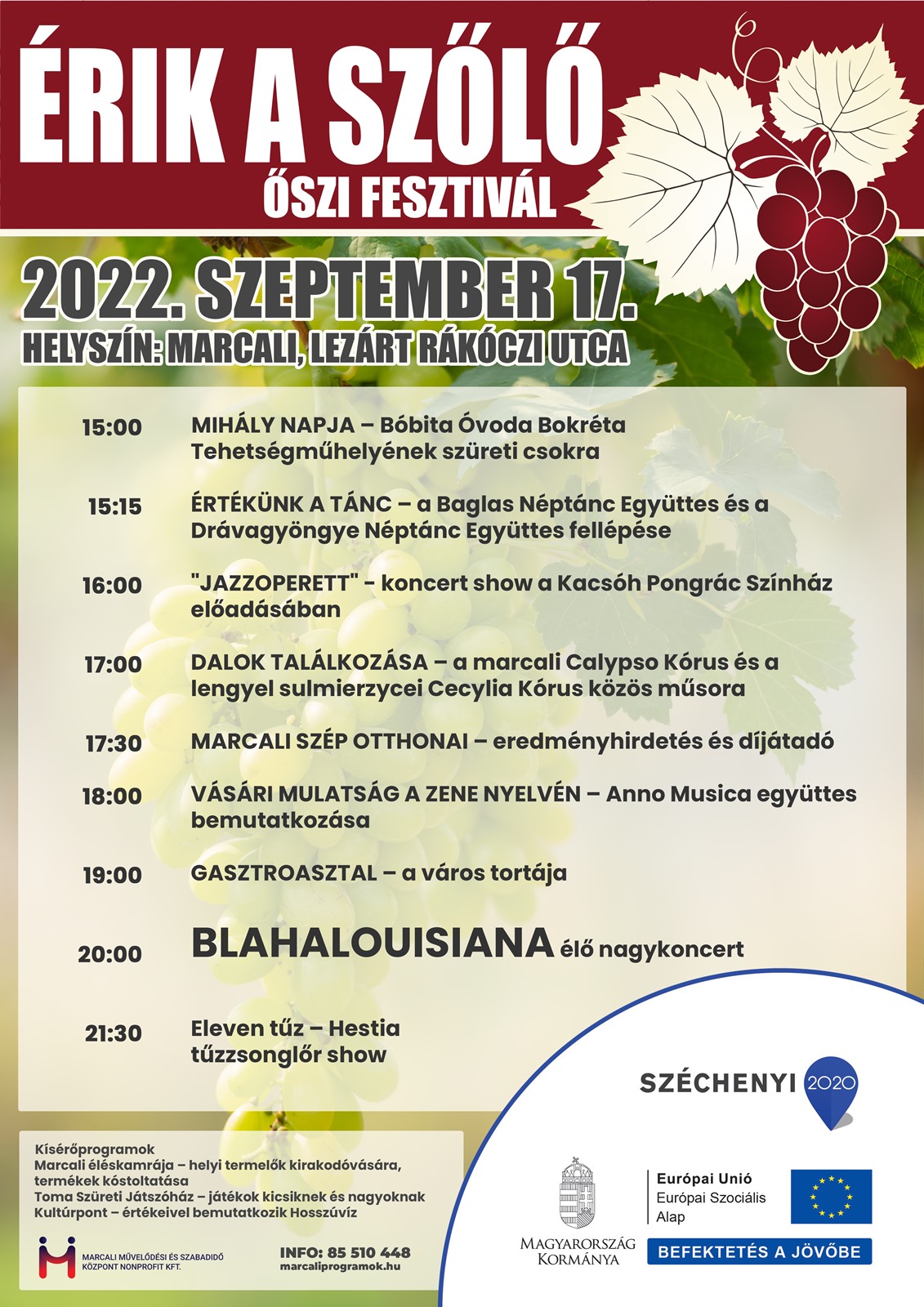 plakat erikaszolo 2022 web